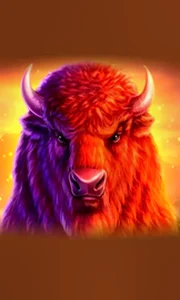 Buffalo 50