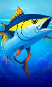 Big Boat Big Catch