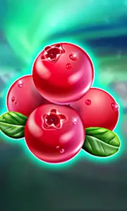 Winterberries