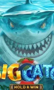 A Big Catch - Hold & Win